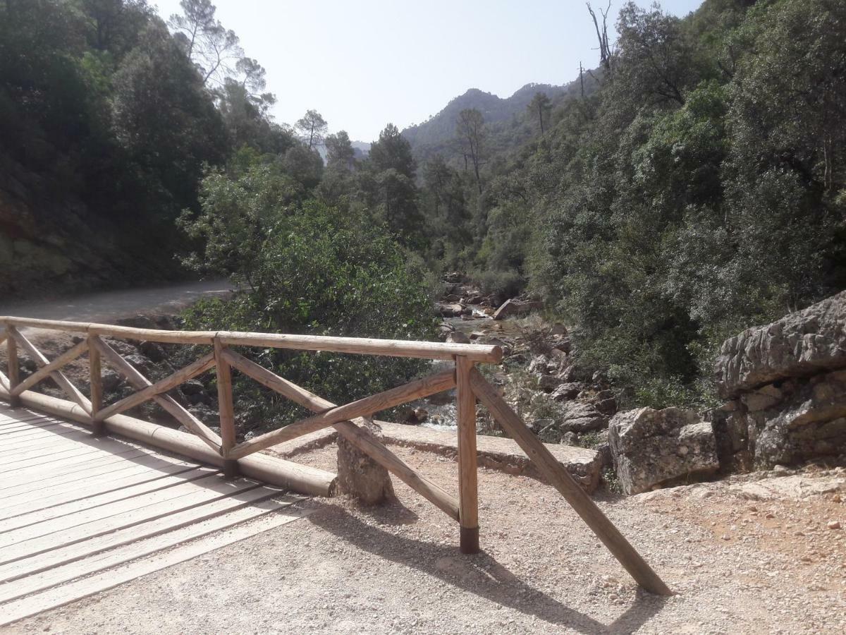 Sierra De Cazorla Villa Arroyo Frio Bagian luar foto