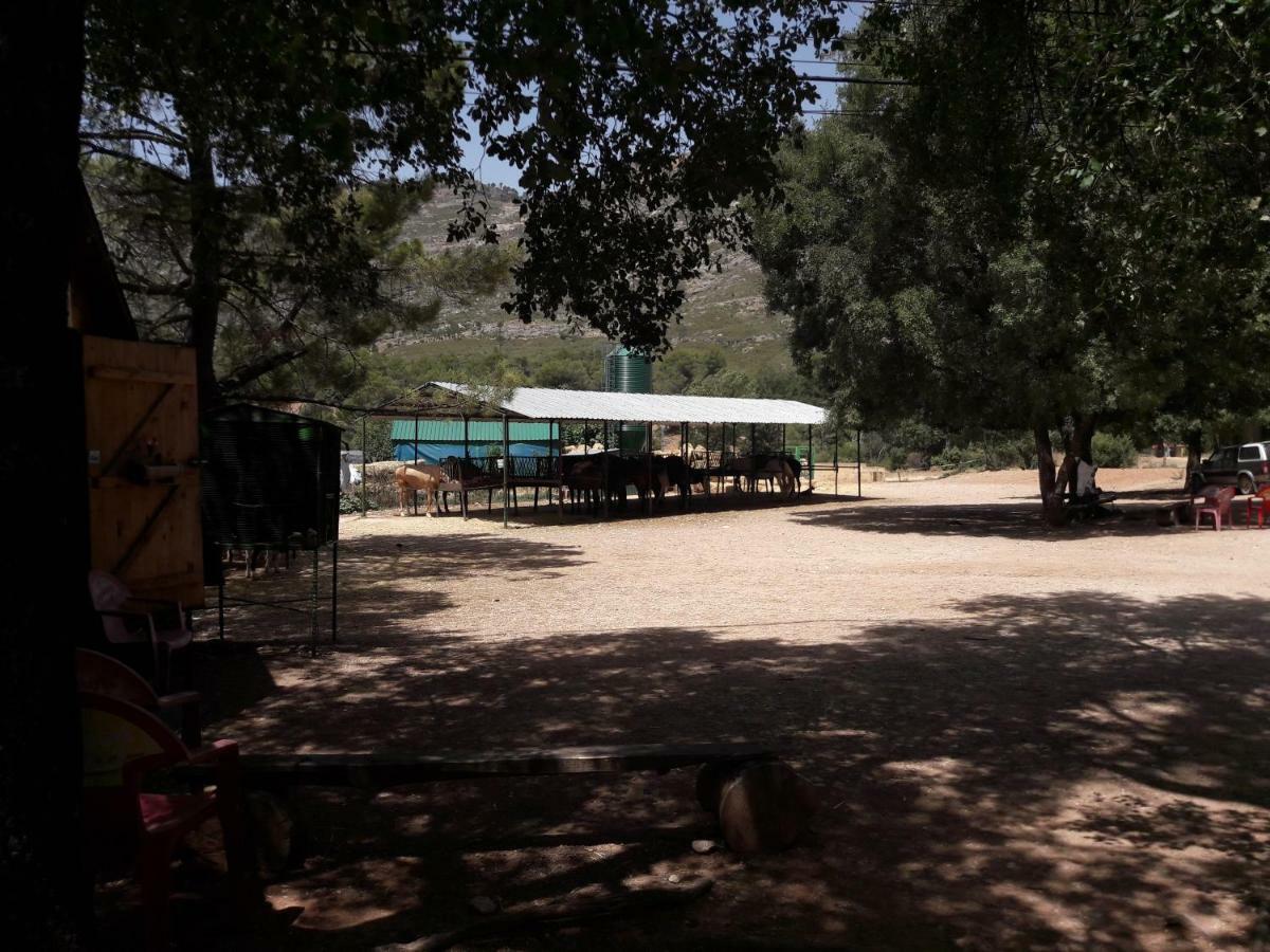 Sierra De Cazorla Villa Arroyo Frio Bagian luar foto